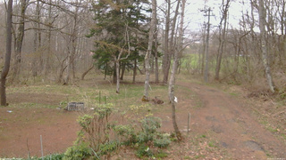 長野県菅平高原 ゆたか山荘 坂上 2026/04/21 06:00