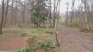 長野県菅平高原 ゆたか山荘 坂上 2026/04/21 07:45