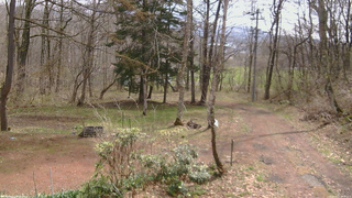 長野県菅平高原 ゆたか山荘 坂上 2026/04/21 10:00
