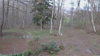 長野県菅平高原 ゆたか山荘 坂上 2026/04/21 18:30