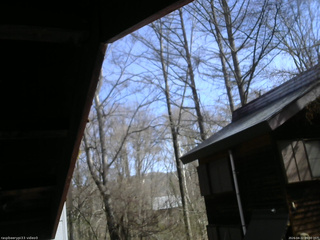 長野県菅平高原 ゆたか山荘 北側 2026/04/22 09:00