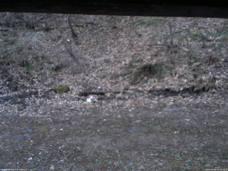 長野県菅平高原 ゆたか山荘 東側(坂下) 2026/04/22 05:00