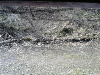 長野県菅平高原 ゆたか山荘 東側(坂下) 2026/04/22 08:00