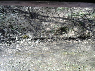長野県菅平高原 ゆたか山荘 東側(坂下) 2026/04/22 08:45