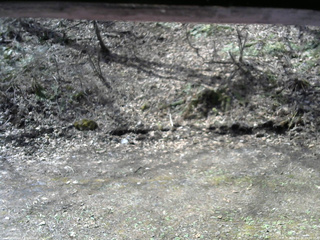 長野県菅平高原 ゆたか山荘 東側(坂下) 2026/04/22 09:00