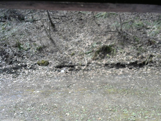 長野県菅平高原 ゆたか山荘 東側(坂下) 2026/04/22 09:45