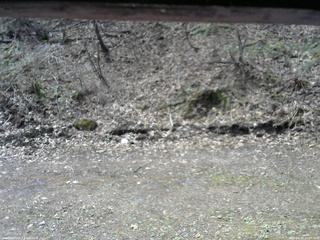 長野県菅平高原 ゆたか山荘 東側(坂下) 2026/04/22 10:00