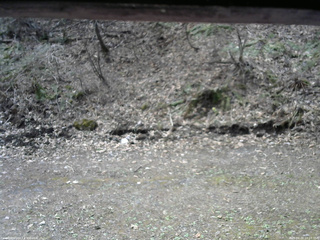 長野県菅平高原 ゆたか山荘 東側(坂下) 2026/04/22 10:15