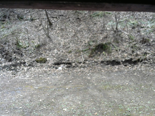 長野県菅平高原 ゆたか山荘 東側(坂下) 2026/04/22 11:15