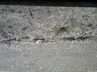 長野県菅平高原 ゆたか山荘 東側(坂下) 2026/04/22 12:00