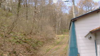 長野県菅平高原 ゆたか山荘 ゆたか山荘 2026/04/22 11:15