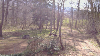 長野県菅平高原 ゆたか山荘 坂上 2026/04/22 08:00