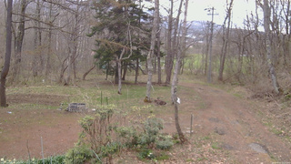 長野県菅平高原 ゆたか山荘 坂上 2026/04/22 08:15