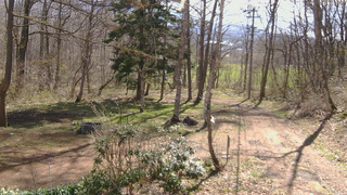 長野県菅平高原 ゆたか山荘 坂上 2026/04/22 08:45