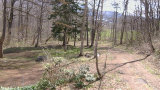 長野県菅平高原 ゆたか山荘 坂上 2026/04/22 09:30