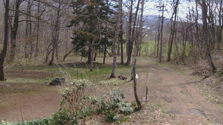 長野県菅平高原 ゆたか山荘 坂上 2026/04/22 09:45