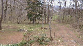 長野県菅平高原 ゆたか山荘 坂上 2026/04/22 10:30