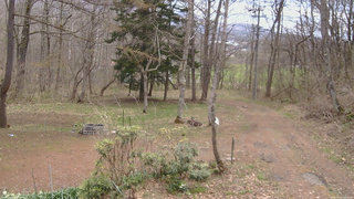 長野県菅平高原 ゆたか山荘 坂上 2026/04/22 10:45