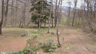 長野県菅平高原 ゆたか山荘 坂上 2026/04/22 11:15