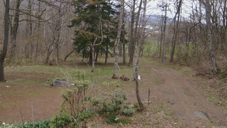 長野県菅平高原 ゆたか山荘 坂上 2026/04/22 11:30