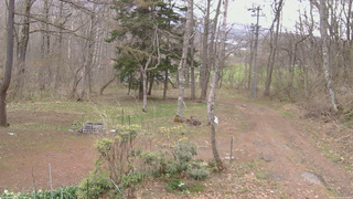 長野県菅平高原 ゆたか山荘 坂上 2026/04/22 11:45
