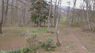 長野県菅平高原 ゆたか山荘 坂上 2026/04/22 12:00