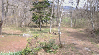 長野県菅平高原 ゆたか山荘 坂上 2026/04/22 13:00