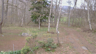 長野県菅平高原 ゆたか山荘 坂上 2026/04/22 14:00