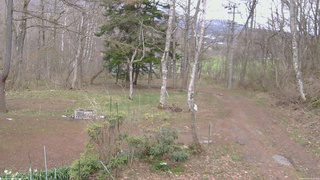 長野県菅平高原 ゆたか山荘 坂上 2026/04/22 14:15