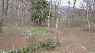 長野県菅平高原 ゆたか山荘 坂上 2026/04/22 14:30