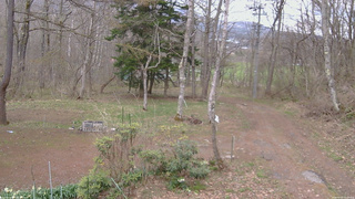長野県菅平高原 ゆたか山荘 坂上 2026/04/22 14:45