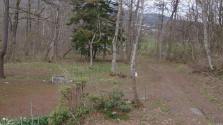長野県菅平高原 ゆたか山荘 坂上 2026/04/22 15:00