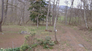 長野県菅平高原 ゆたか山荘 坂上 2026/04/22 15:15