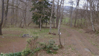 長野県菅平高原 ゆたか山荘 坂上 2026/04/22 15:30