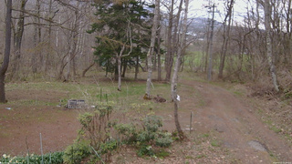 長野県菅平高原 ゆたか山荘 坂上 2026/04/22 16:00