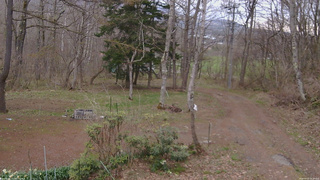 長野県菅平高原 ゆたか山荘 坂上 2026/04/22 16:30