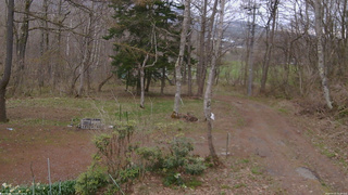 長野県菅平高原 ゆたか山荘 坂上 2026/04/22 16:45