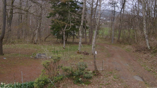 長野県菅平高原 ゆたか山荘 坂上 2026/04/22 17:00