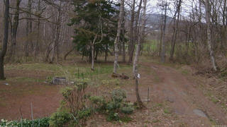 長野県菅平高原 ゆたか山荘 坂上 2026/04/22 17:15