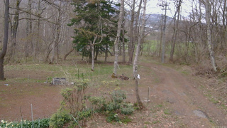 長野県菅平高原 ゆたか山荘 坂上 2026/04/22 17:30