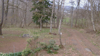 長野県菅平高原 ゆたか山荘 坂上 2026/04/22 18:00