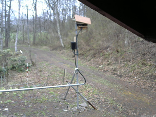 長野県菅平高原 ゆたか山荘 南側 2026/04/23 10:00