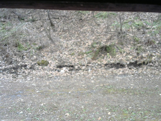 長野県菅平高原 ゆたか山荘 東側(坂下) 2026/04/23 07:00