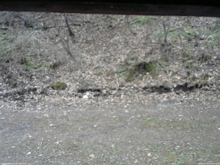 長野県菅平高原 ゆたか山荘 東側(坂下) 2026/04/23 08:00