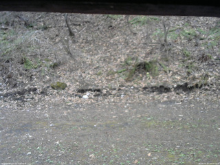 長野県菅平高原 ゆたか山荘 東側(坂下) 2026/04/23 09:00