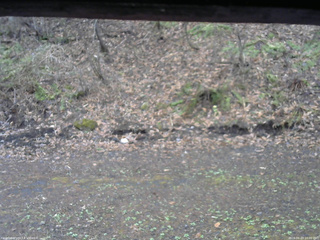 長野県菅平高原 ゆたか山荘 東側(坂下) 2026/04/23 10:00