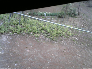 長野県菅平高原 ゆたか山荘 駐車場 2026/04/23 08:15