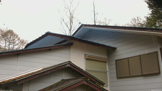 長野県菅平高原 ゆたか山荘 駐車場奥 2026/04/23 10:00