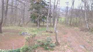 長野県菅平高原 ゆたか山荘 坂上 2026/04/23 06:30