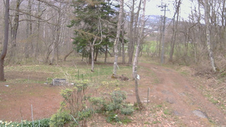 長野県菅平高原 ゆたか山荘 坂上 2026/04/23 07:15